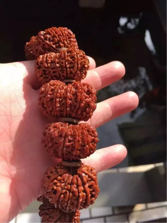 醜出新高度，價格卻貴得離譜