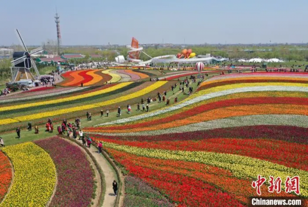 陳毅的這個決定,開啟了“大豐”與“上海”70多年的唇齒相依 陳毅的這個決定,開啟了“大豐”與“上海”70多年的唇齒相依