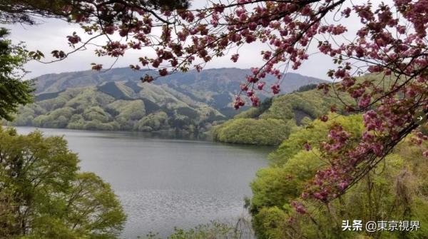 日本之最|日本那些鮮為人知卻也迷人的“第二名”,你知道幾個? 日本之最|日本那些鮮為人知卻也迷人的“第二名”,你知道幾個?