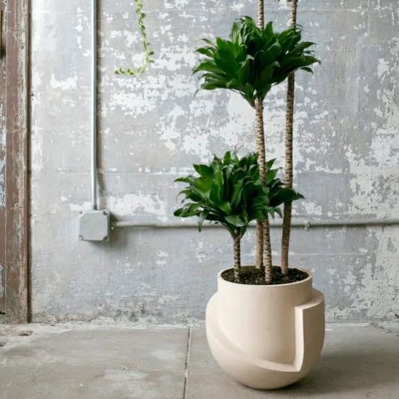 8種廢料你別扔,留著養花有妙用 8種廢料你別扔,留著養花有妙用