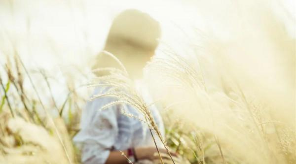 夜讀丨珍惜所有的遇見 夜讀丨珍惜所有的遇見