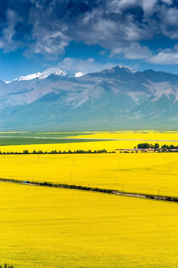 我去旅行，不是因為我有錢