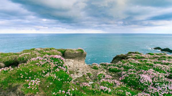 圖片分享一一乎倫貝爾大草原美景