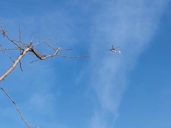 北京世園公園 園林系列