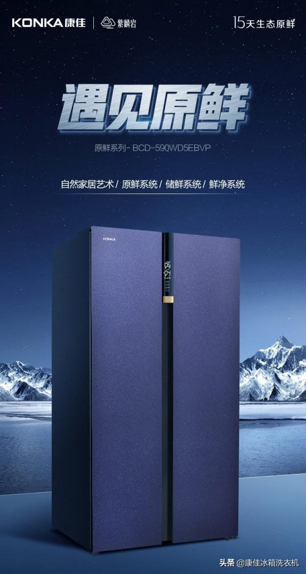 家庭應急儲備物資,有這臺冰箱就夠了 家庭應急儲備物資,有這臺冰箱就夠了