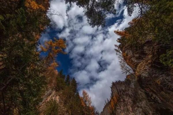 秋天，一定要去一次甘南！