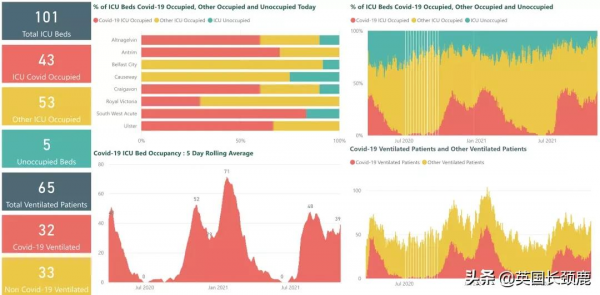 輝瑞公佈口服新冠藥：有效率89%！科學家發現新冠高風險基因訊號
