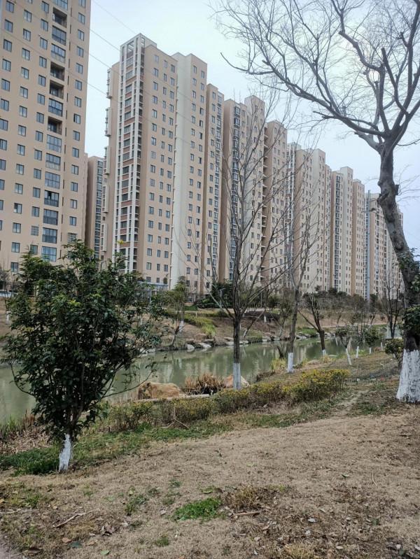 看看浙江一個小縣城的鄉下建設有多好