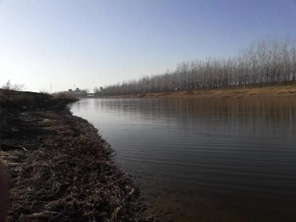 徒駭河“冬至”釣鯽魚