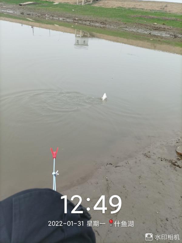 新年新氣象，虎年首釣完美爆護