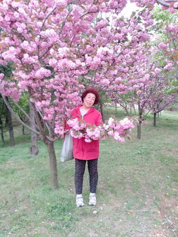 我常去遛彎的植物園 我常去遛彎的植物園