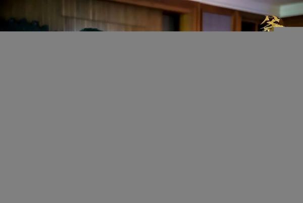 《爺們信條》上映，任達華寶刀未老，攜手張藍心上演生死營救