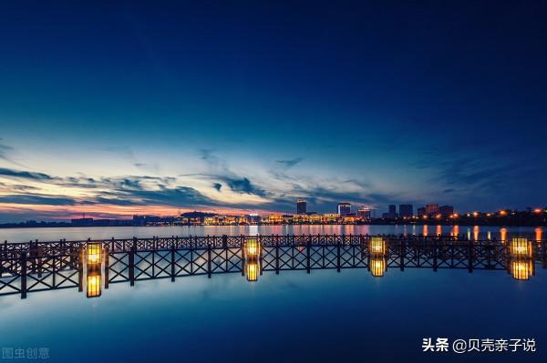 「睡前故事—暖萌動物系列」小灰鳥回家