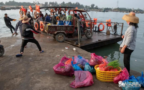 吳鍾飛：臘月漁鄉港北