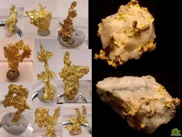 金礦石圖片文化普及總彙