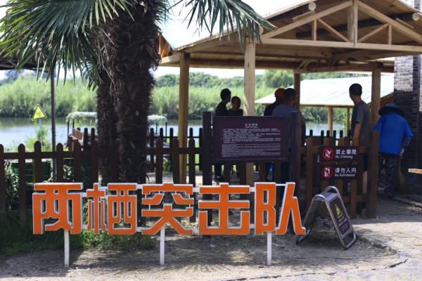 離上海一小時!夏日休閒度假,感受水鄉生活,這份攻略太貼心了 離上海一小時!夏日休閒度假,感受水鄉生活,這份攻略太貼心了