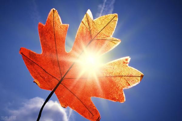 十二星座什麼年齡最美？