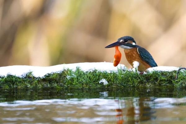 讓人直呼“哇噻”,房山這兩地的雪景大片,你一定得看看 讓人直呼“哇噻”,房山這兩地的雪景大片,你一定得看看