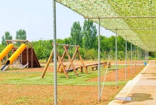 秋高氣爽,天氣正好,戶外農場趕緊安排上 秋高氣爽,天氣正好,戶外農場趕緊安排上