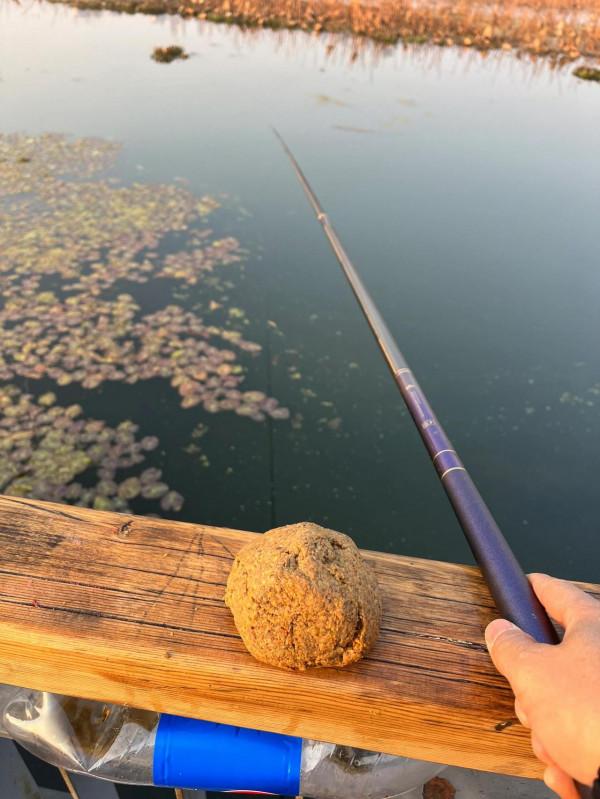 不管漁獲只求解毒