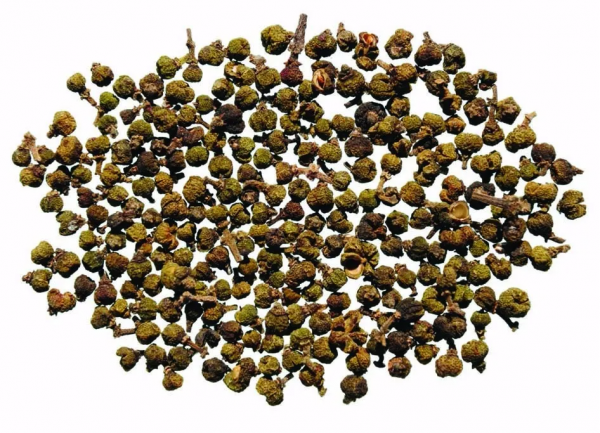 重陽佳節話茱萸 重陽佳節話茱萸