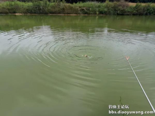 山塘戲馬口,驚喜真的有 山塘戲馬口,驚喜真的有