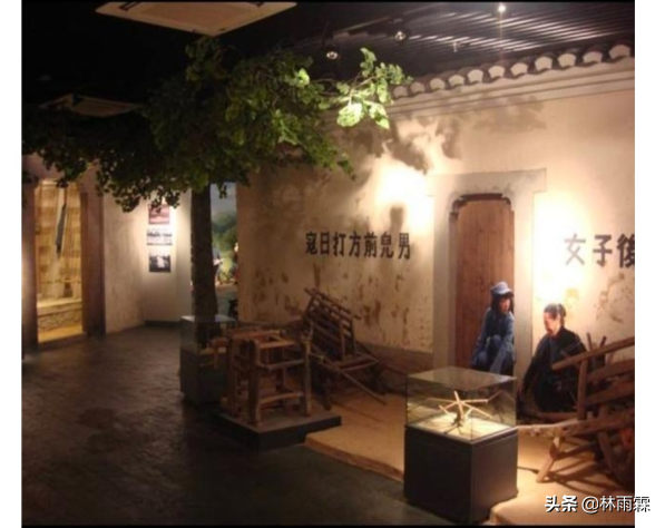 桑蠶文化活化石-柘桑蠶 桑蠶文化活化石-柘桑蠶