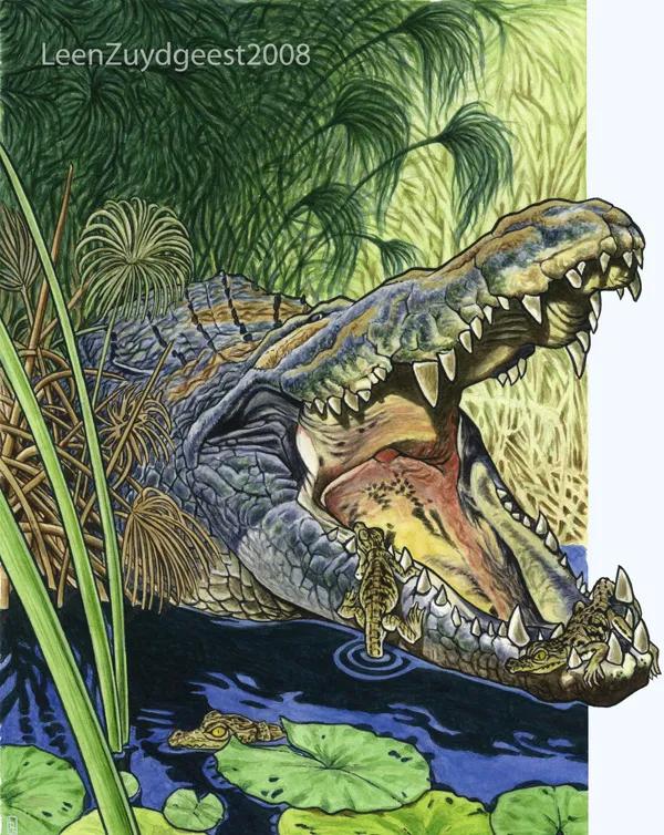 鱷魚好圖大雜燴 鱷魚好圖大雜燴