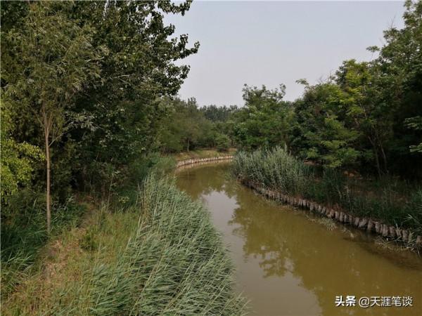 塘沽免費公園值得遊，順其自然地體驗，領略不一樣風景