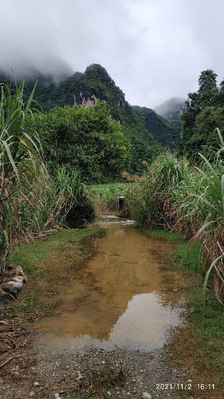 觀鳥兩年——每日期待著與鳥兒的邂逅，踏上了追逐鳥兒的征程