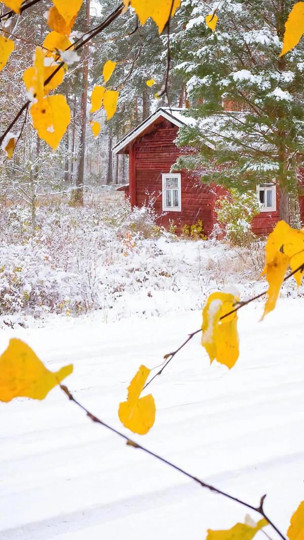 不困於心,不亂於情。慢慢的內心寧靜 不困於心,不亂於情。慢慢的內心寧靜