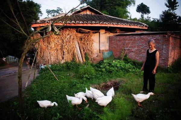 50張照片記錄著最真實的農村生活,這才是我們最深刻的回憶 50張照片記錄著最真實的農村生活,這才是我們最深刻的回憶