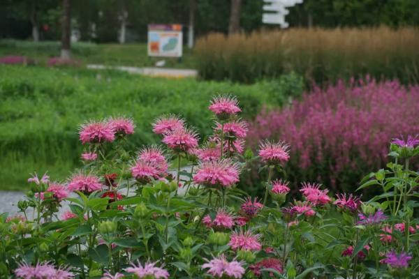 京城這個爆火的4A級景區，你打卡了嗎？快收下這份經典路線攻略，跟著走就行！