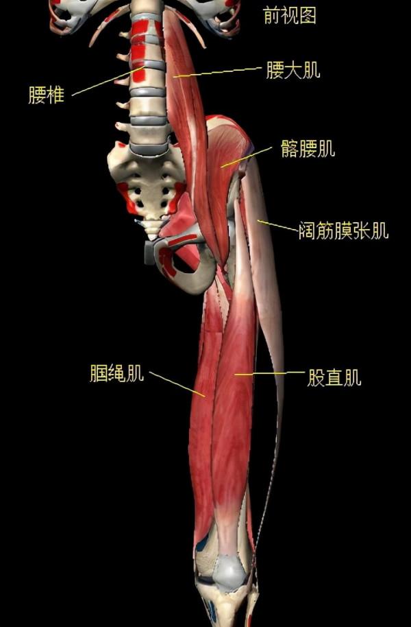 練“腰”的弊端