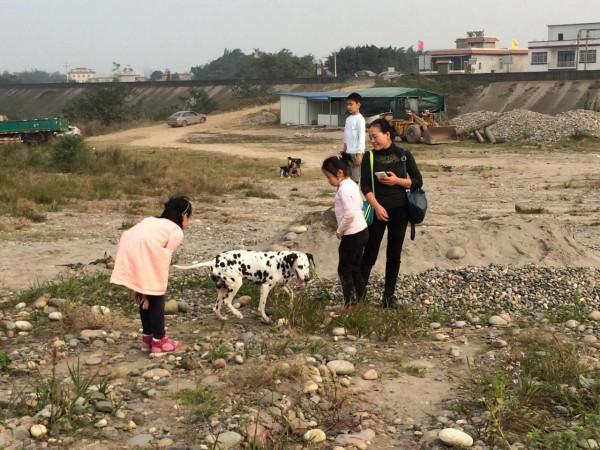 我作為一個非常愛狗的人,為什麼再也不養狗了 我作為一個非常愛狗的人,為什麼再也不養狗了