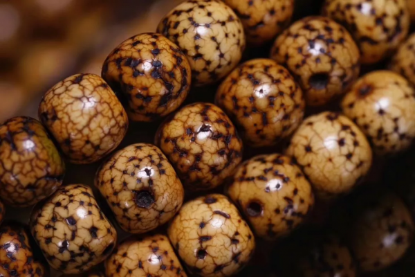 多少年前的老星月分分鐘都能被你整廢