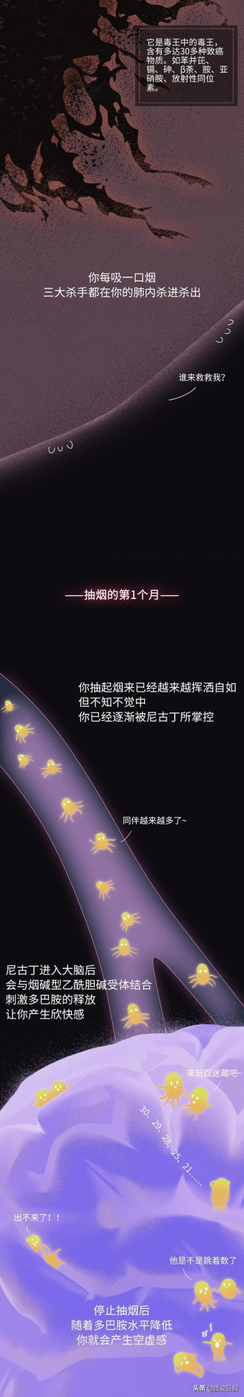 抽菸30年，你的肺都經歷了什麼