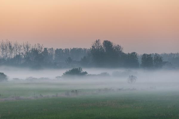 深秋,鄉村晨霧 深秋,鄉村晨霧