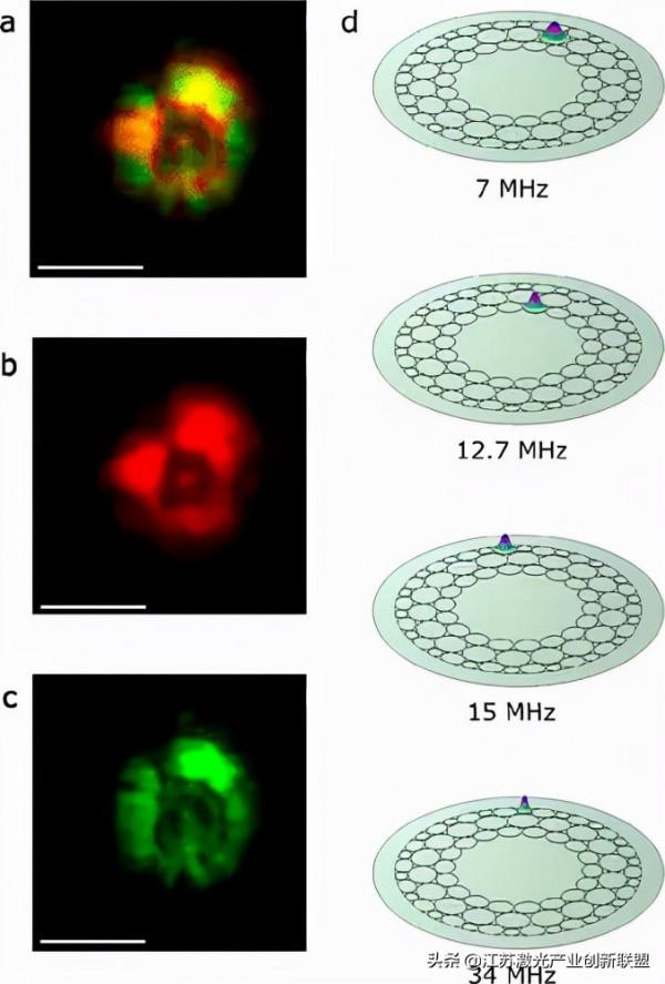鐳射內窺鏡探頭的創造助力顯微外科手術 鐳射內窺鏡探頭的創造助力顯微外科手術