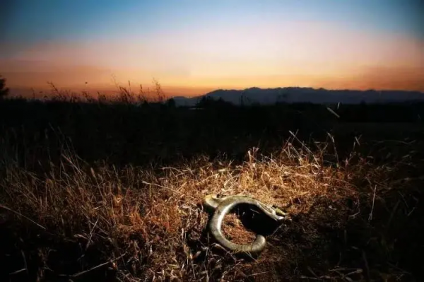 100年前,當我們換個方式瞭解過去 100年前,當我們換個方式瞭解過去