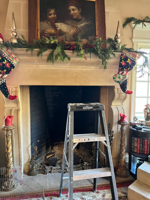 小哥在沙拉里發現了一隻小青蛙後，在網上直播起了養蛙生活