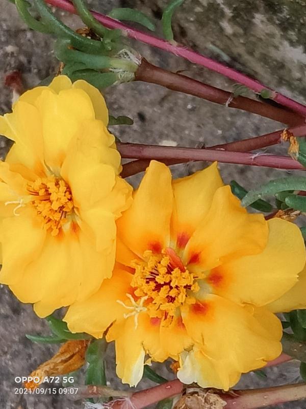 老師佈置了1份作業，導致我和孩子冷戰三天，到底是誰錯了