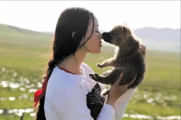 狼群鬧饑荒，母狼將幼崽送老人撫養，半夜偷偷來看望，母子連心