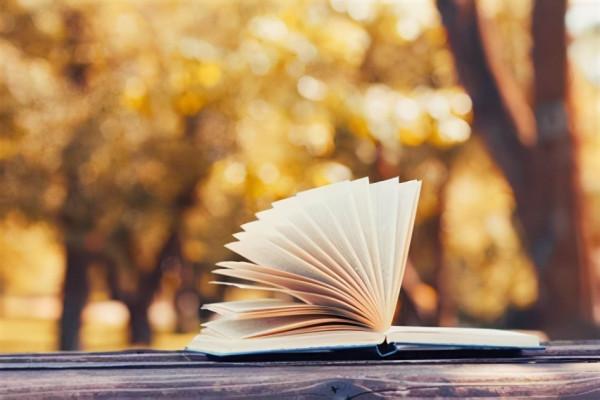 如果你對人生感到迷惘，建議你看看這本書