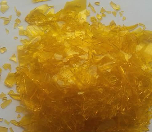 每日中藥——熊膽粉 每日中藥——熊膽粉