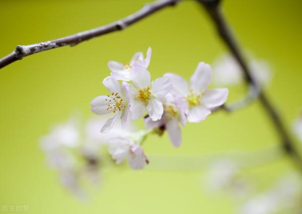 人到老年，沒婚姻沒子女真的會很慘嗎？76歲老人：學會心靜自然順