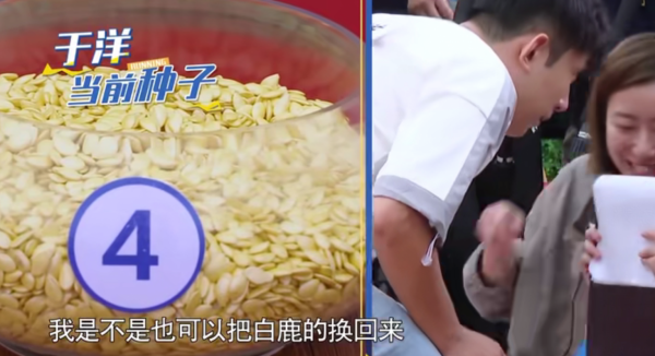 《黃河2》白鹿“白錄”了,調侃人生是起落落落,於洋成全隊笑點 《黃河2》白鹿“白錄”了,調侃人生是起落落落,於洋成全隊笑點