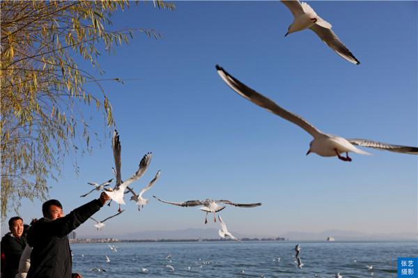 世界春城80佳排行榜：昆明穩居第一，為何中國還有這7座城市入圍