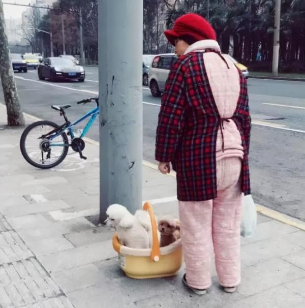 內衣週刊|都市新感覺:南方人手一件的棉家居服,比羽絨服還香 內衣週刊|都市新感覺:南方人手一件的棉家居服,比羽絨服還香