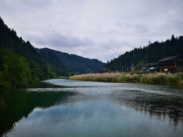 牛耕部落尋訪記
